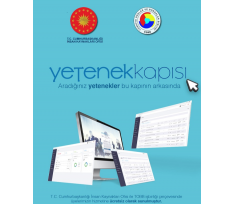 https://www.yetenekkapisi.org/