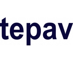 https://www.tepav.org.tr/tr/